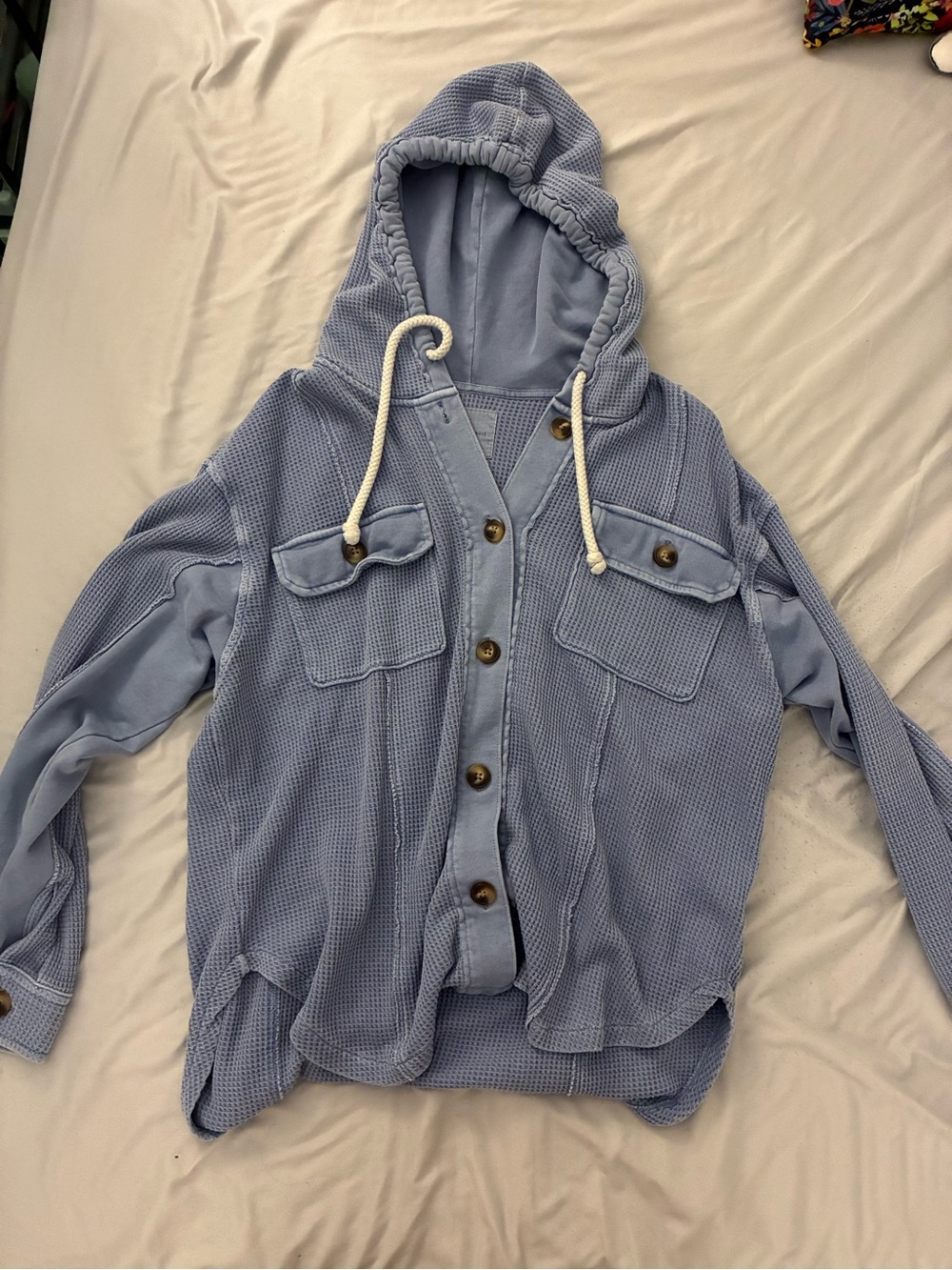 American Eagle Outfitters Light Blue Hooded Button Front sweater